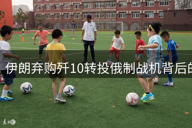 伊朗弃购歼10转投俄制战机背后的战略考量