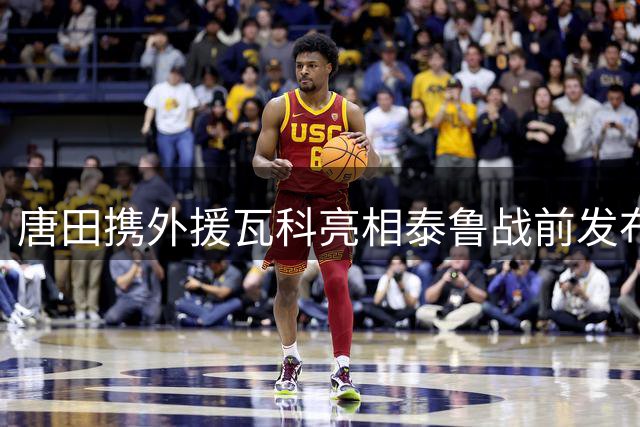 唐田携外援瓦科亮相泰鲁战前发布会